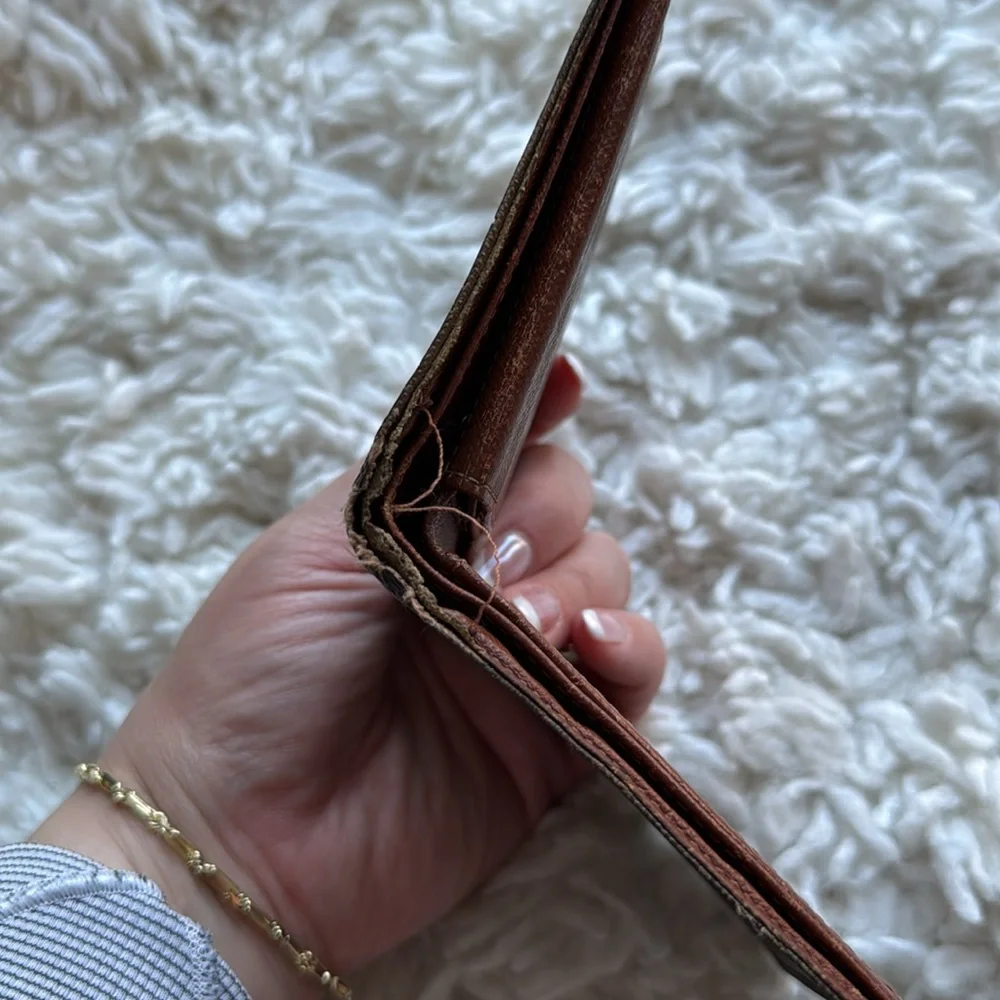 Louis Vuitton this wallet